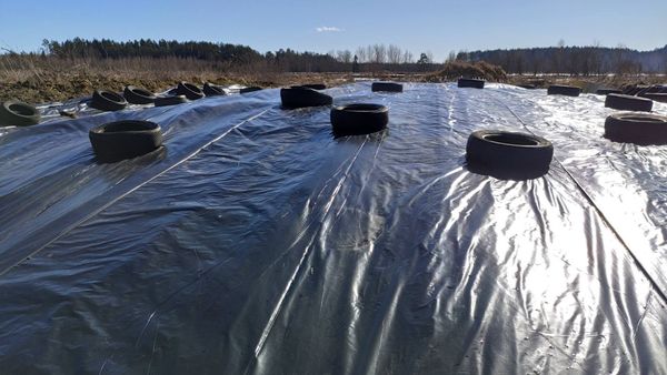 Плёнка полиэтиленовая вторичная полотно от 6м до 26м